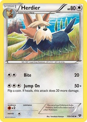 Herdier, XY Base Set
