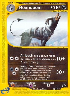 Houndoom (12), Skyridge