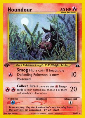 Houndour (24), Neo Discovery