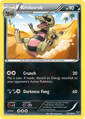 Krokorok, XY Base Set