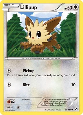Lillipup (80), Black and White