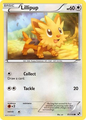 Lillipup (81), Black and White