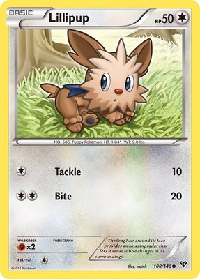 Lillipup, XY Base Set
