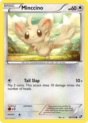 Minccino, Black and White