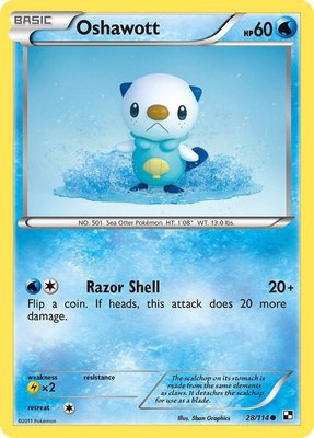 Oshawott (28), Black and White