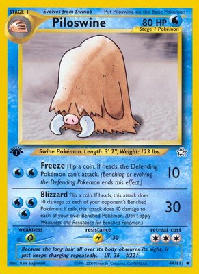 Piloswine, Neo Genesis