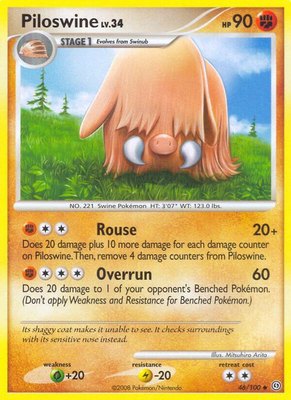 Piloswine, Stormfront