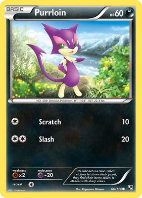 Purrloin, Black and White