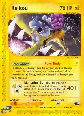 Raikou 028/144 from Skyridge
