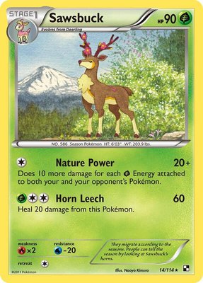 Sawsbuck, Black and White