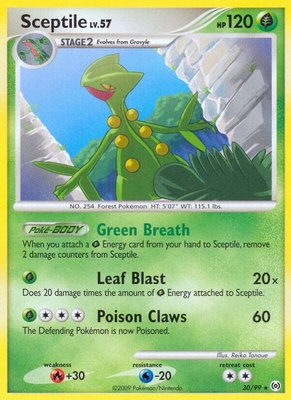 Sceptile (30), Arceus