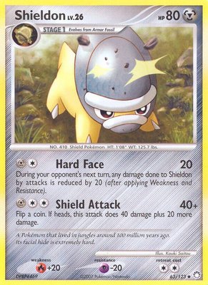 Shieldon, Mysterious Treasures