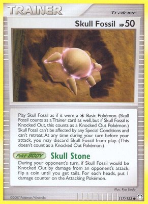 Skull Fossil, Mysterious Treasures