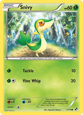 Snivy (1), Black and White