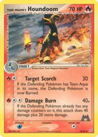 Team Magma's Houndoom
