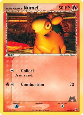 Team Magma's Numel, EX Team Magma vs Team Aqua