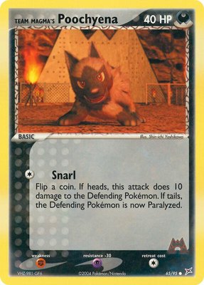 Team Magma's Poochyena, EX Team Magma vs Team Aqua
