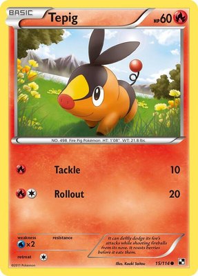 Tepig (15), Black and White
