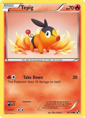 Tepig (16), Black and White