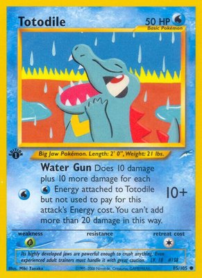 Totodile, Neo Destiny