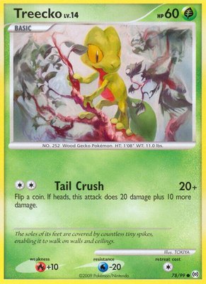 Treecko (78), Arceus