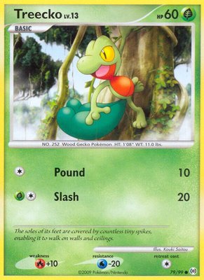 Treecko (79), Arceus