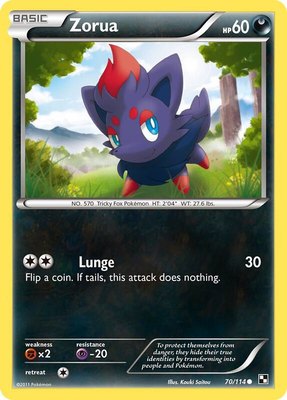 Zorua, Black and White