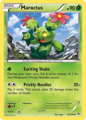 Maractus, XY - Flashfire