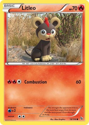 Litleo (18), XY - Flashfire