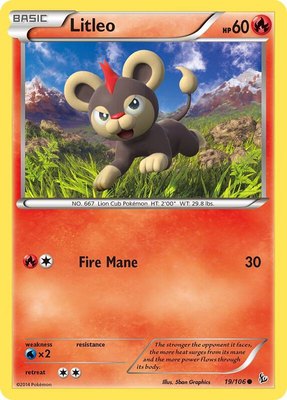 Litleo (19), XY - Flashfire