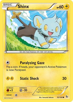 Shinx, XY - Flashfire