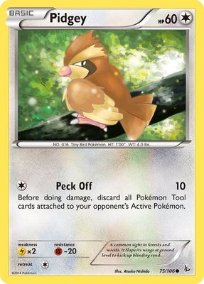 Pidgey, XY - Flashfire