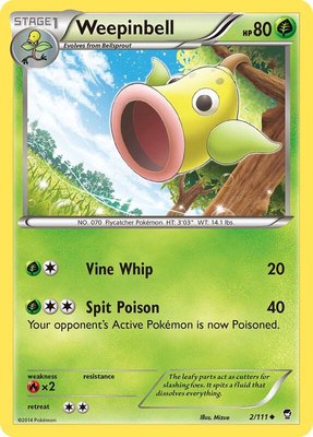 Weepinbell, XY - Furious Fists