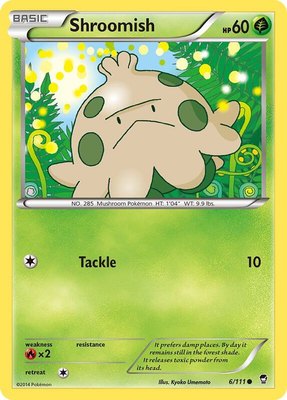 Shroomish, XY - Furious Fists
