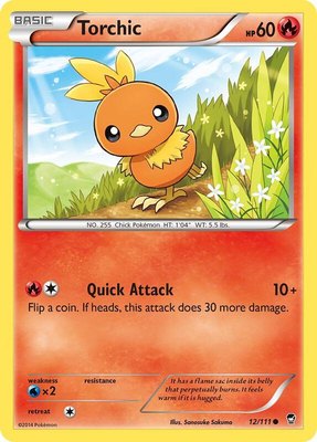 Torchic, XY - Furious Fists