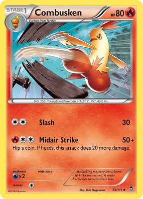 Combusken, XY - Furious Fists