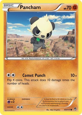 Pancham (60), XY - Furious Fists