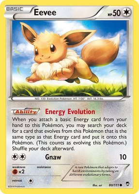 Eevee, XY - Furious Fists