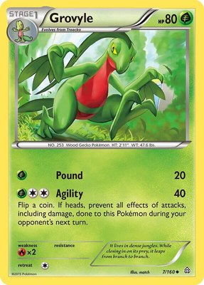 Grovyle, XY - Primal Clash