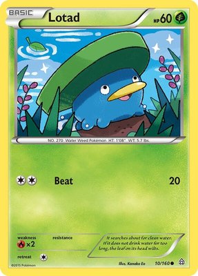 Lotad, XY - Primal Clash