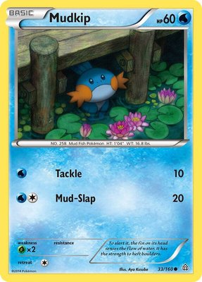 Mudkip, XY - Primal Clash