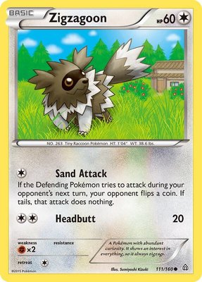 Zigzagoon, XY - Primal Clash