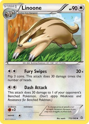 Linoone, XY - Primal Clash