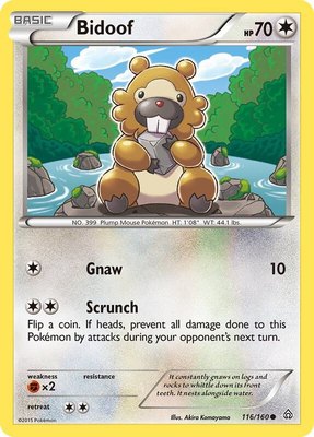 Bidoof, XY - Primal Clash