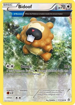 Bidoof (Alpha), XY - Primal Clash