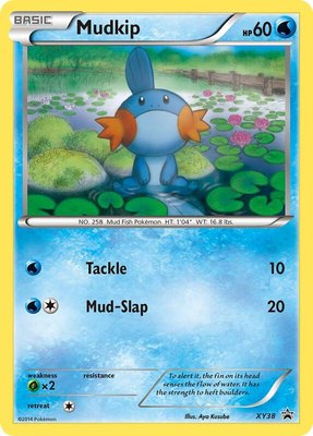 Mudkip, XY Promos