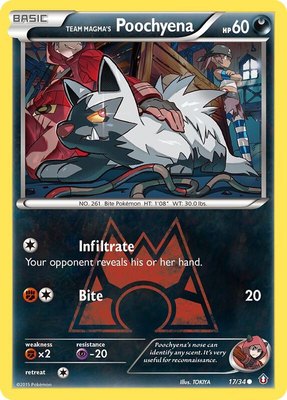 Team Magma's Poochyena, Double Crisis