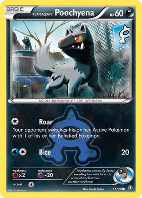 Team Aqua's Poochyena, Double Crisis