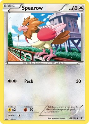 Spearow, XY - Roaring Skies