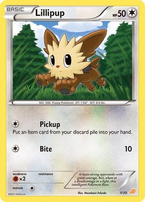Lillipup (#1), BW Trainer Kit: Excadrill & Zoroark